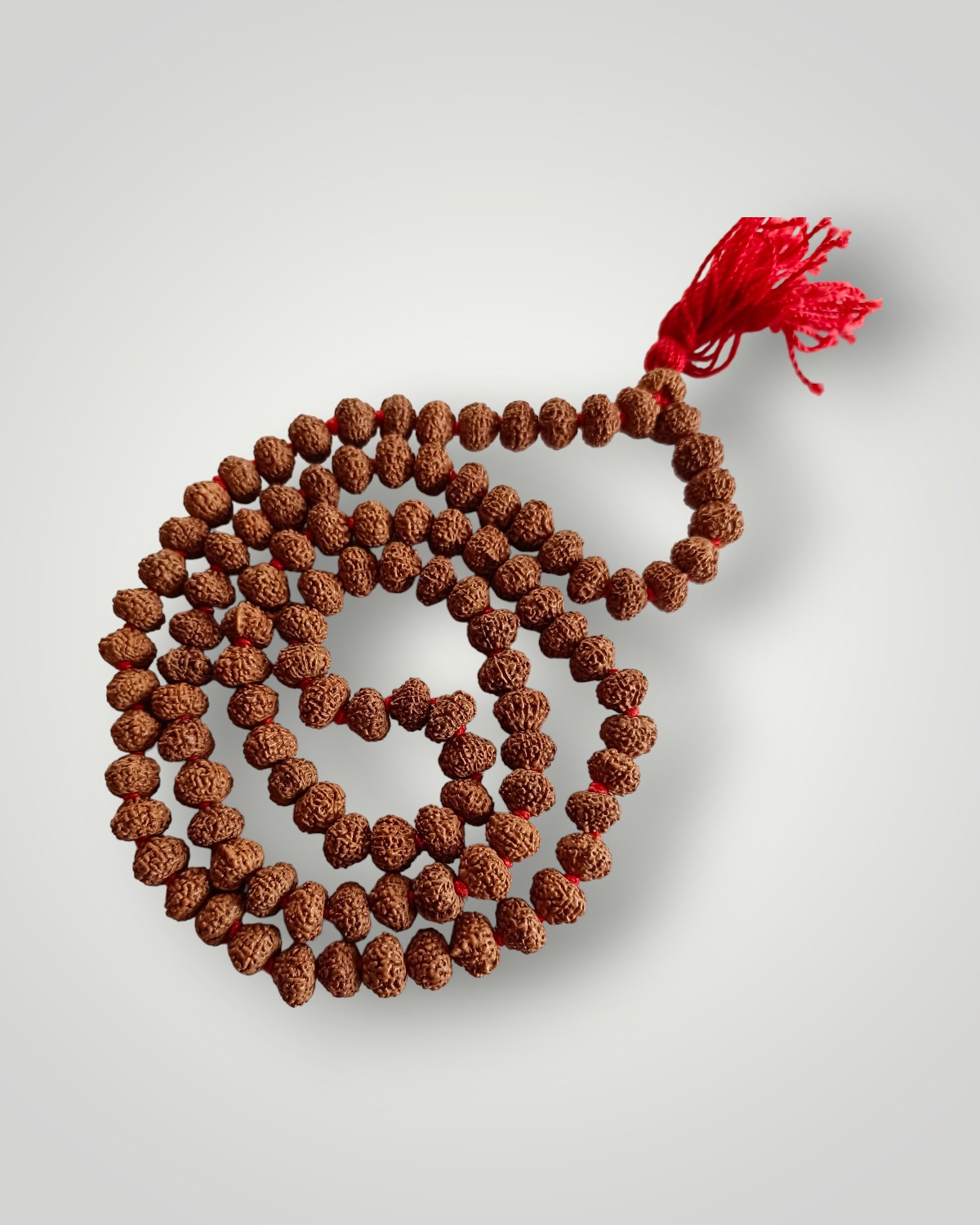 10 Mukhi Rudraksha Mala 